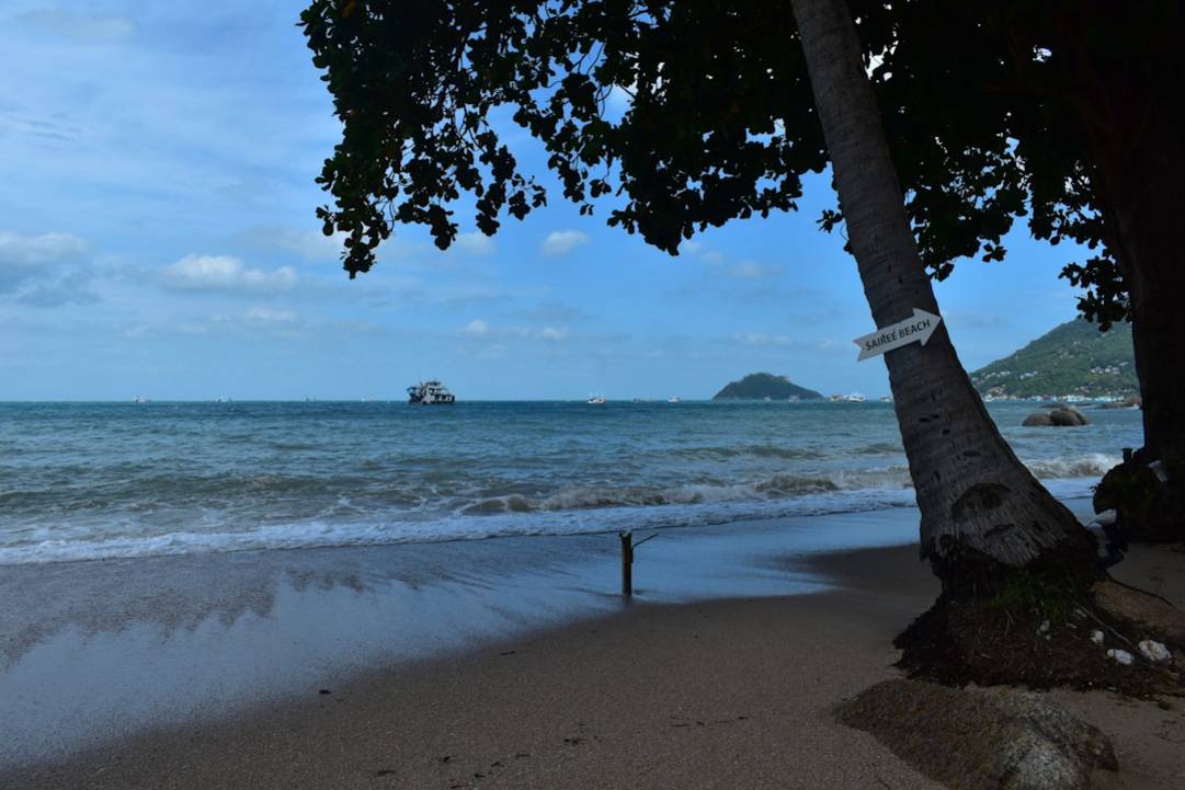 Top 7 imprescindibles: cosas que hacer en el Isla de Koh Tao 7 Cómo llegar a Isla de Koh Tao