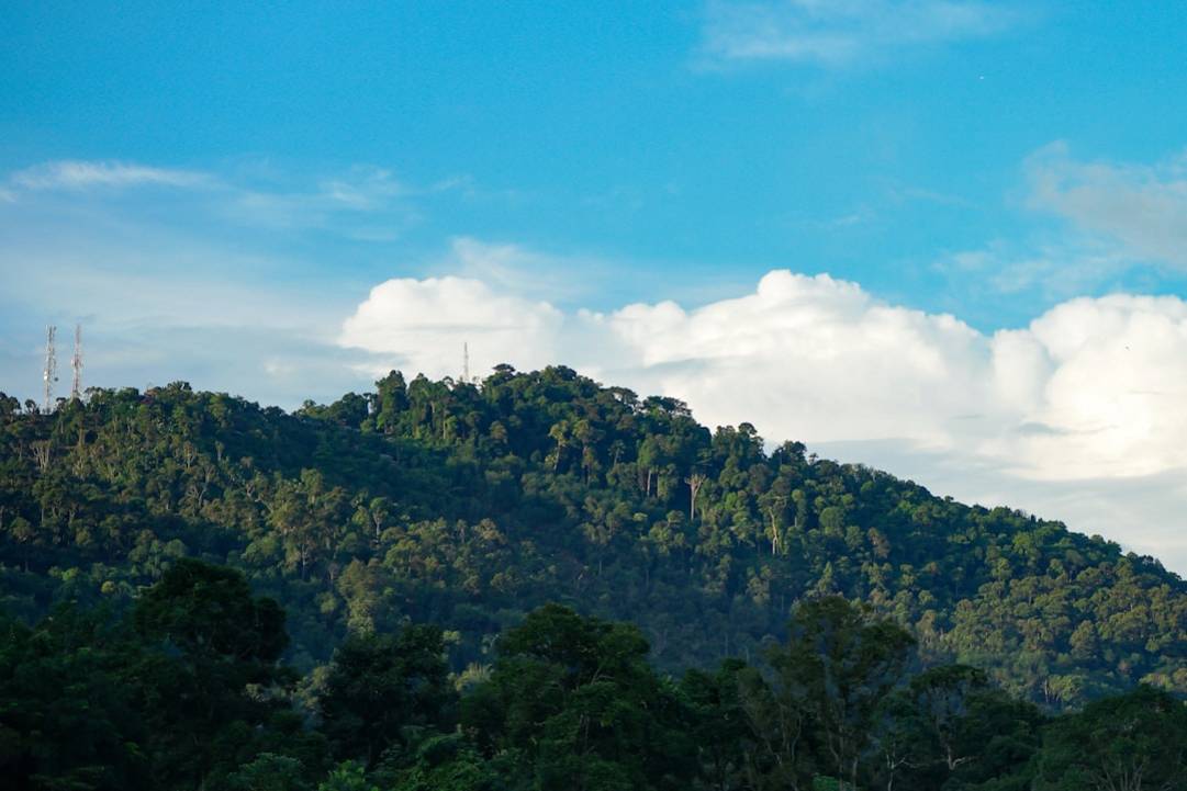 Top 6 imprescindibles: cosas que hacer en el Kinabatangan 4 Actividades principales en Kinabatangan