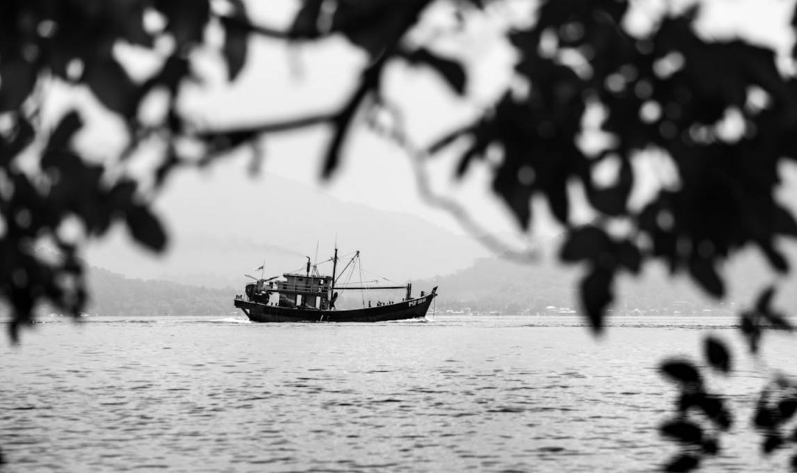 Resumen rápido de Lumut