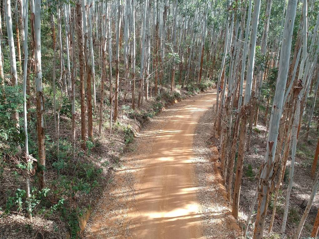 Dónde comer en Parque Nacional de Khao Yai