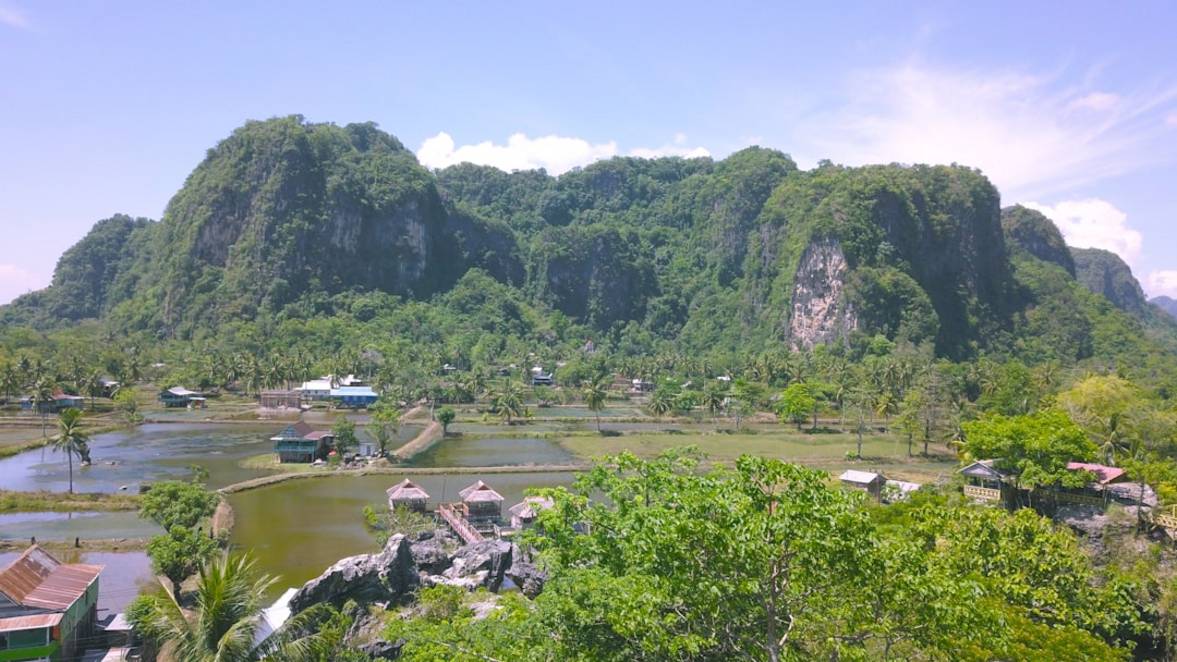 Mejor época para visitar Surin