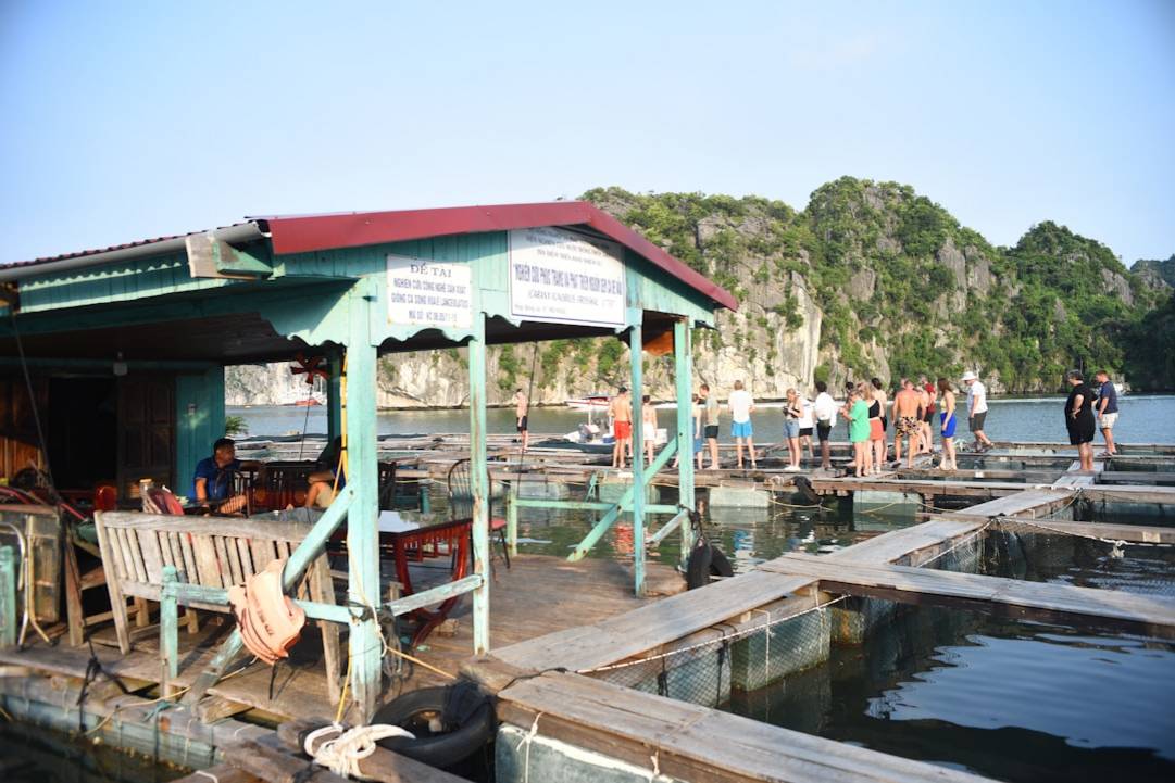 Información general sobre Trang