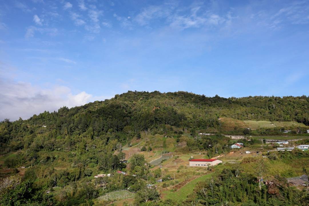 Mejor época para visitar Valle de Danum