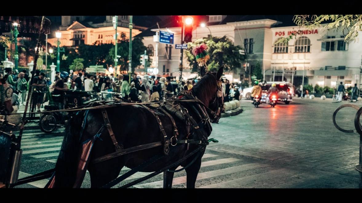 Top 10 imprescindibles: cosas que hacer en el Yogyakarta 5 Mejor época para visitar Yogyakarta