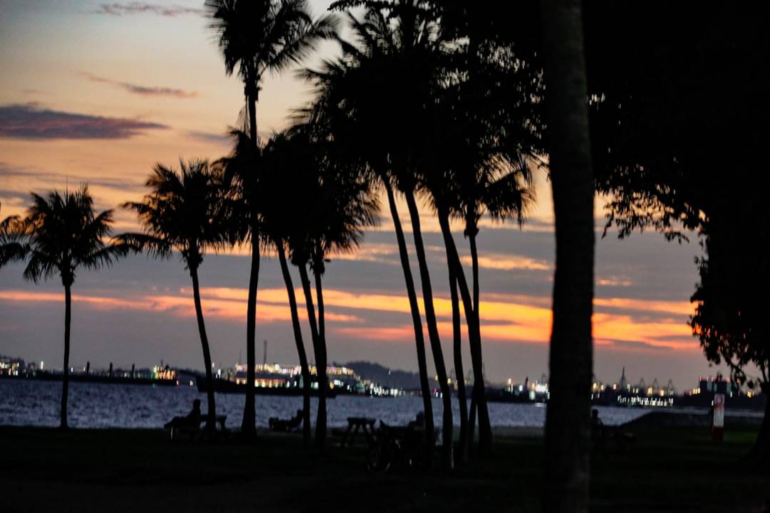 Lo Esencial para tus Actividades en Singapur