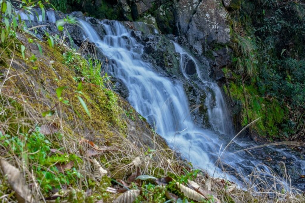 -Shillong India