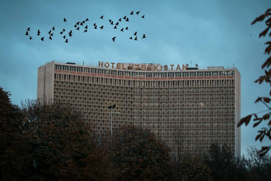 Hoteles y alojamiento
