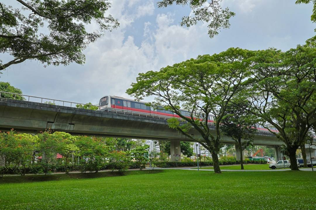 EZ-Link vs Singapore Tourist Pass: ¿Qué tarjeta te ahorra más dinero? preparation