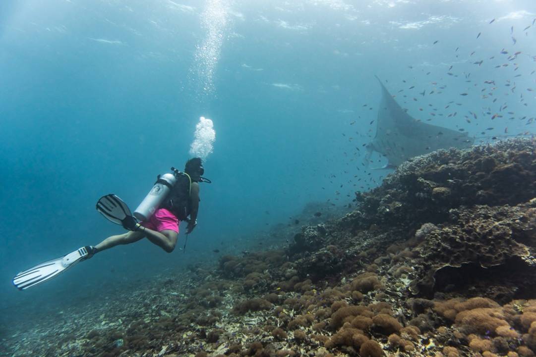 Por qué el curso PADI Advanced Open Water es el siguiente paso para todo buceador en Asia overview