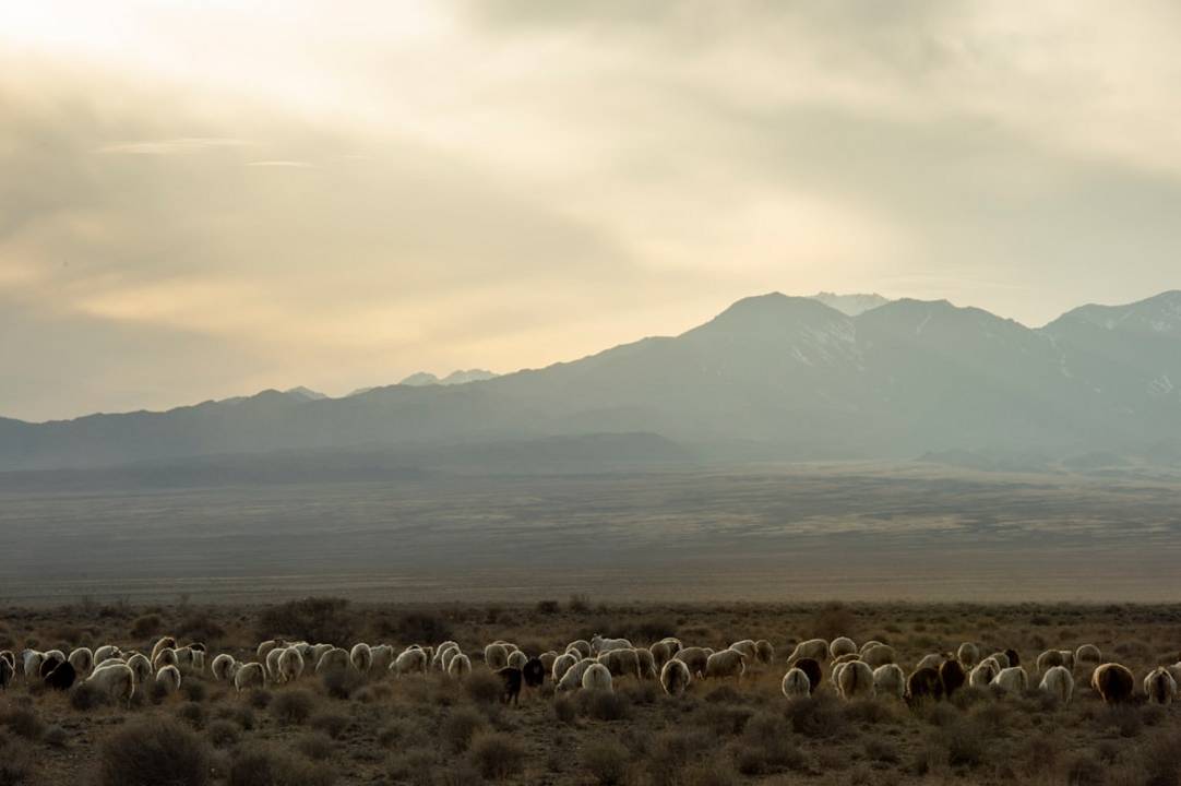 Kazajistan travel insights