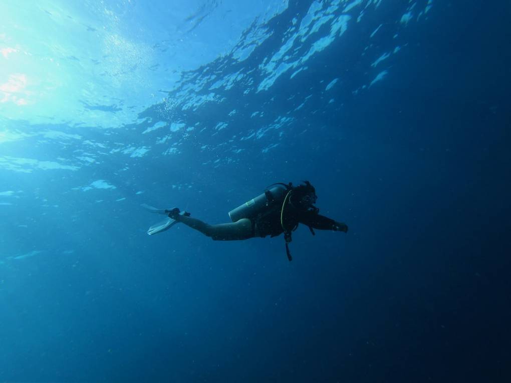 Por qué el buceo en pecios en Filipinas es un viaje a través de la historia intro