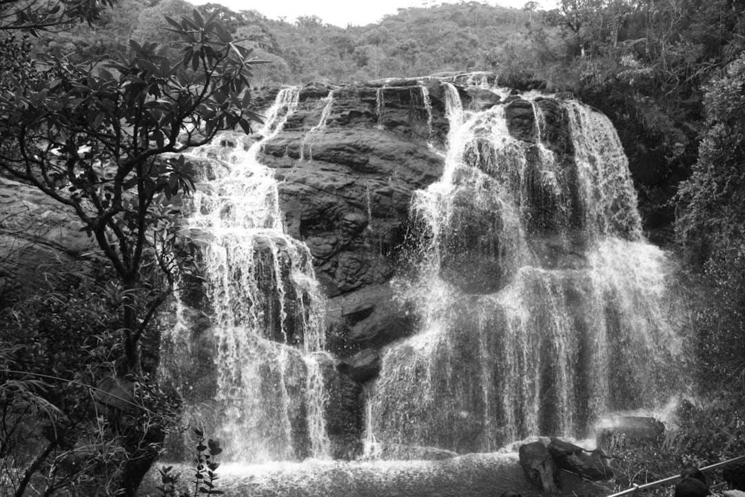 Parque Nacional de Horton Plains: Un refugio de biodiversidad