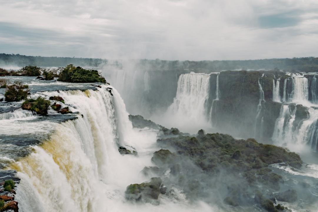 Australia and Brasil nature