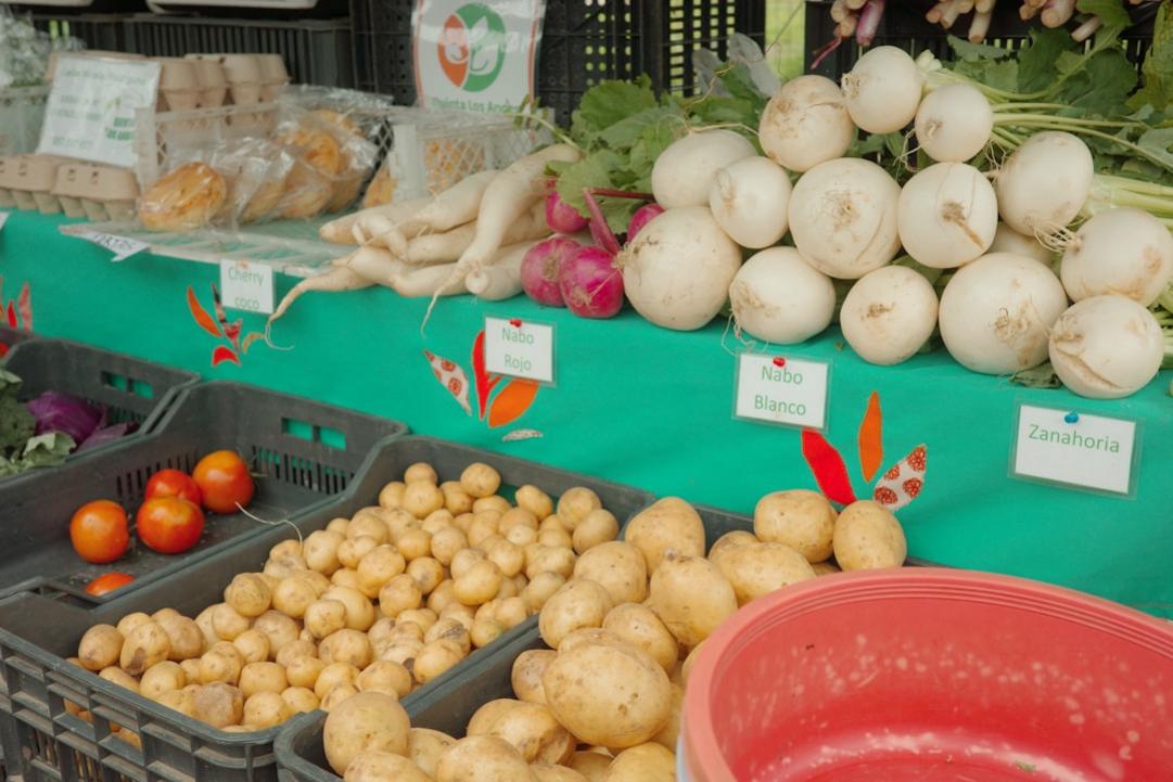 food in Brasil and Uruguay