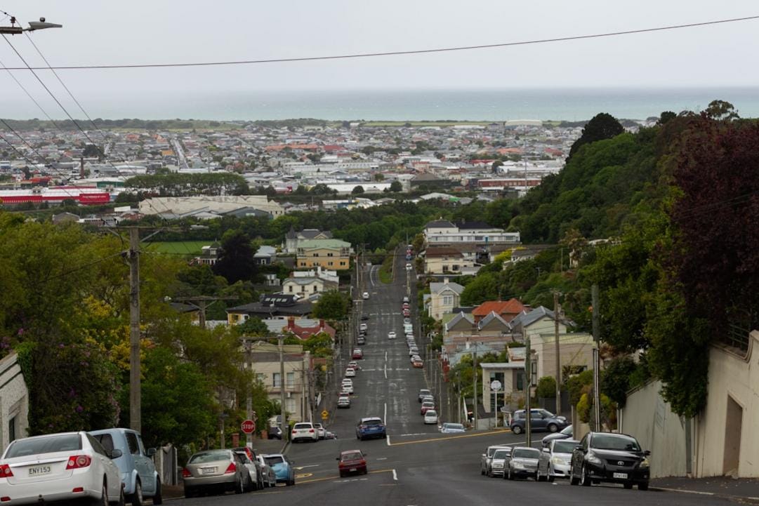 Dunedin food
