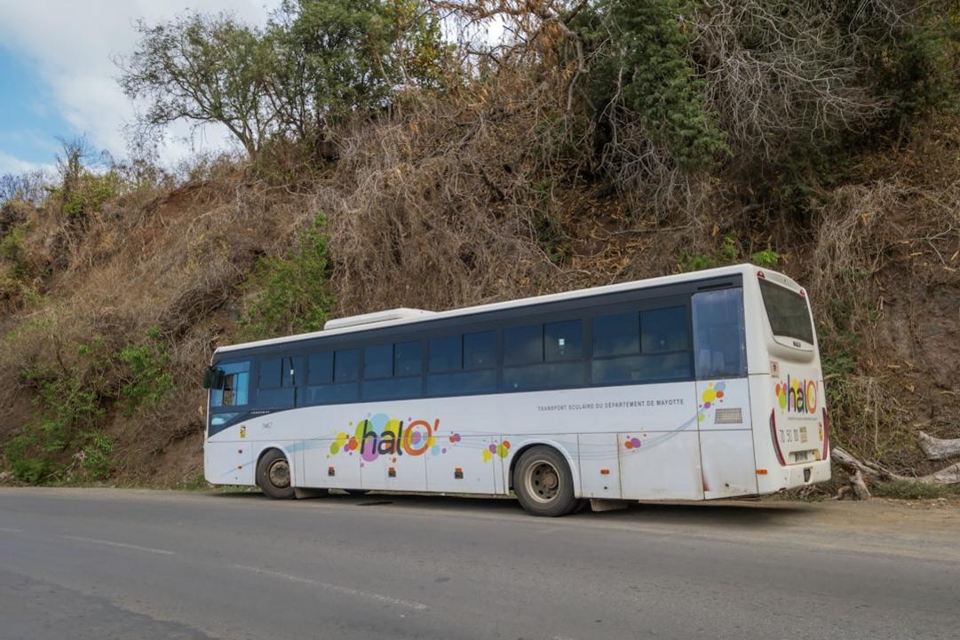 transport in Ecuador and Bolivia