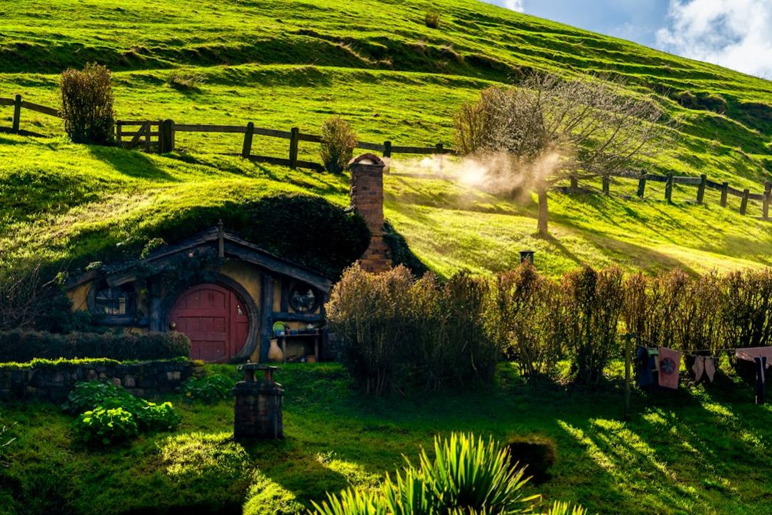 Nueva Zelanda and Argentina highlights