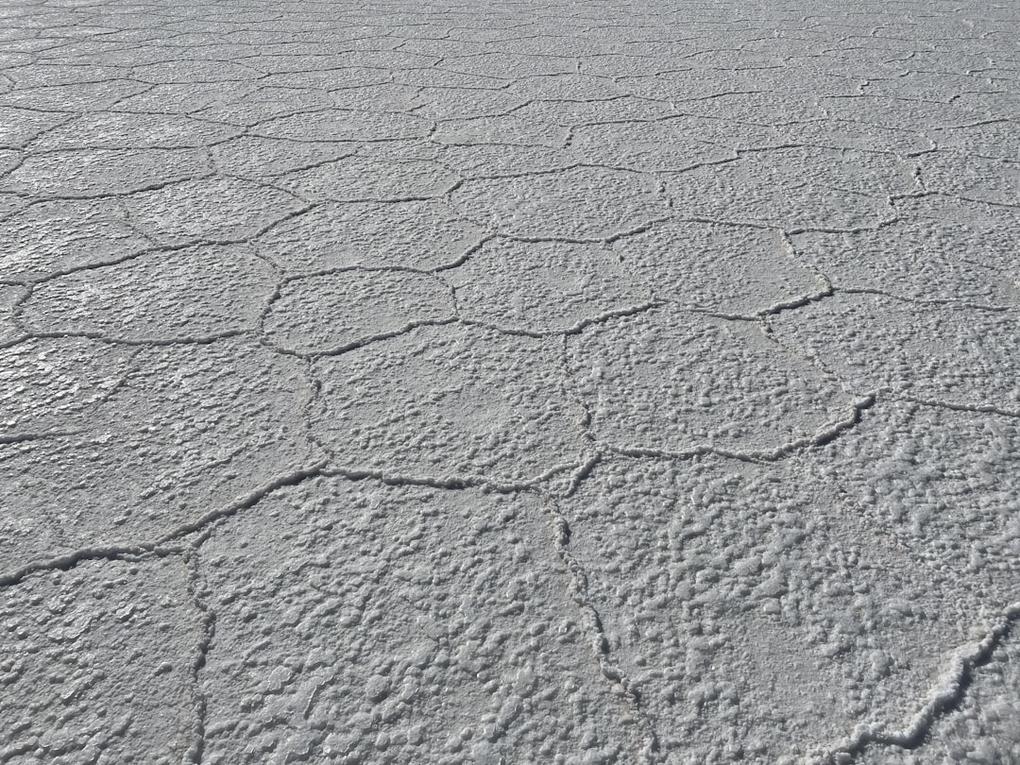 Perú and Bolivia nature