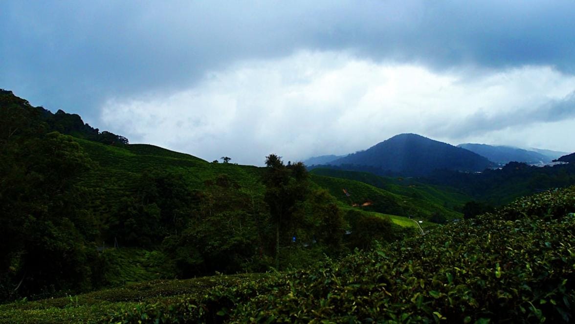 Tailandia and Malasia nature