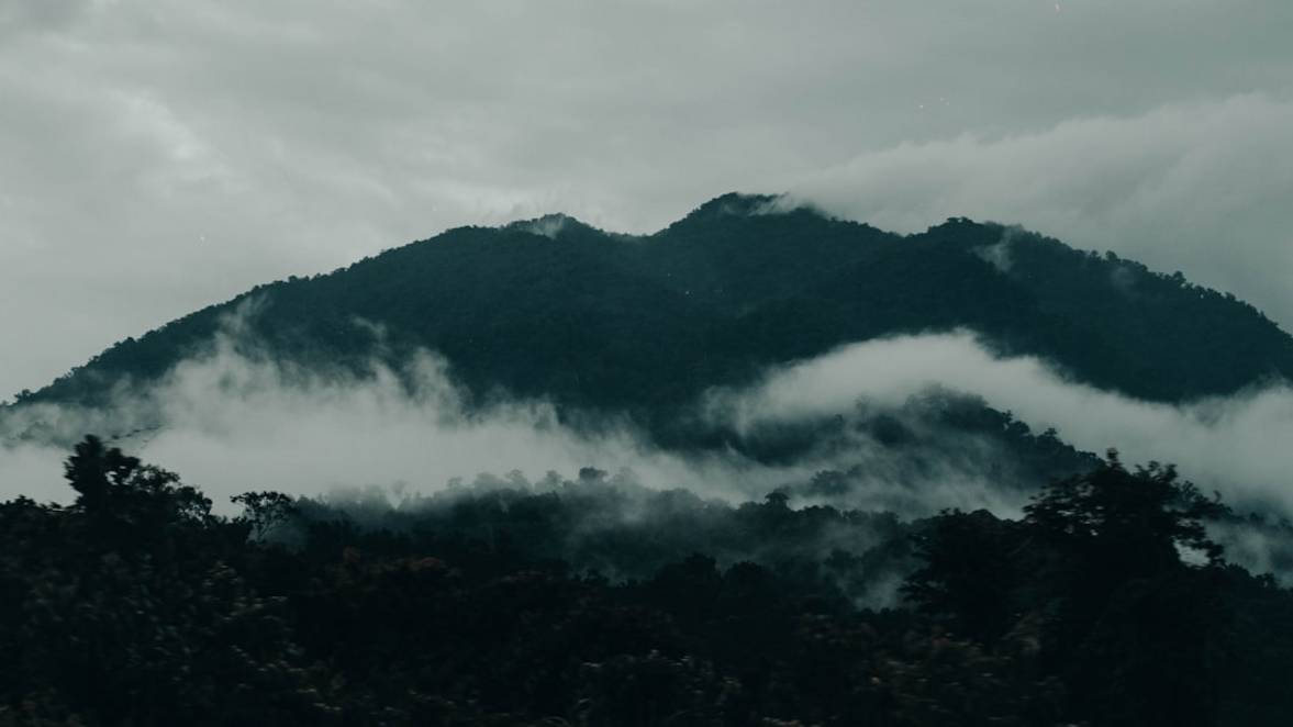 Puente del Dragónpuente-dragonDa Nang highlights