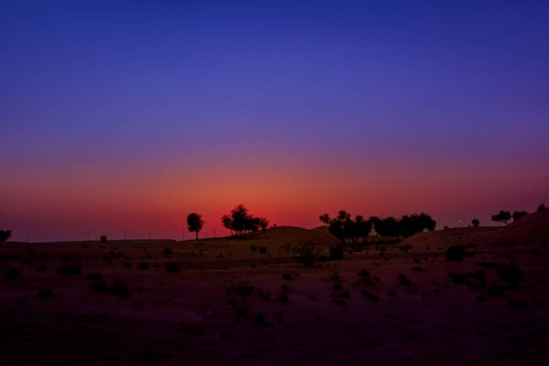 Safari por el Desiertosafari-desiertoDubái atmosphere