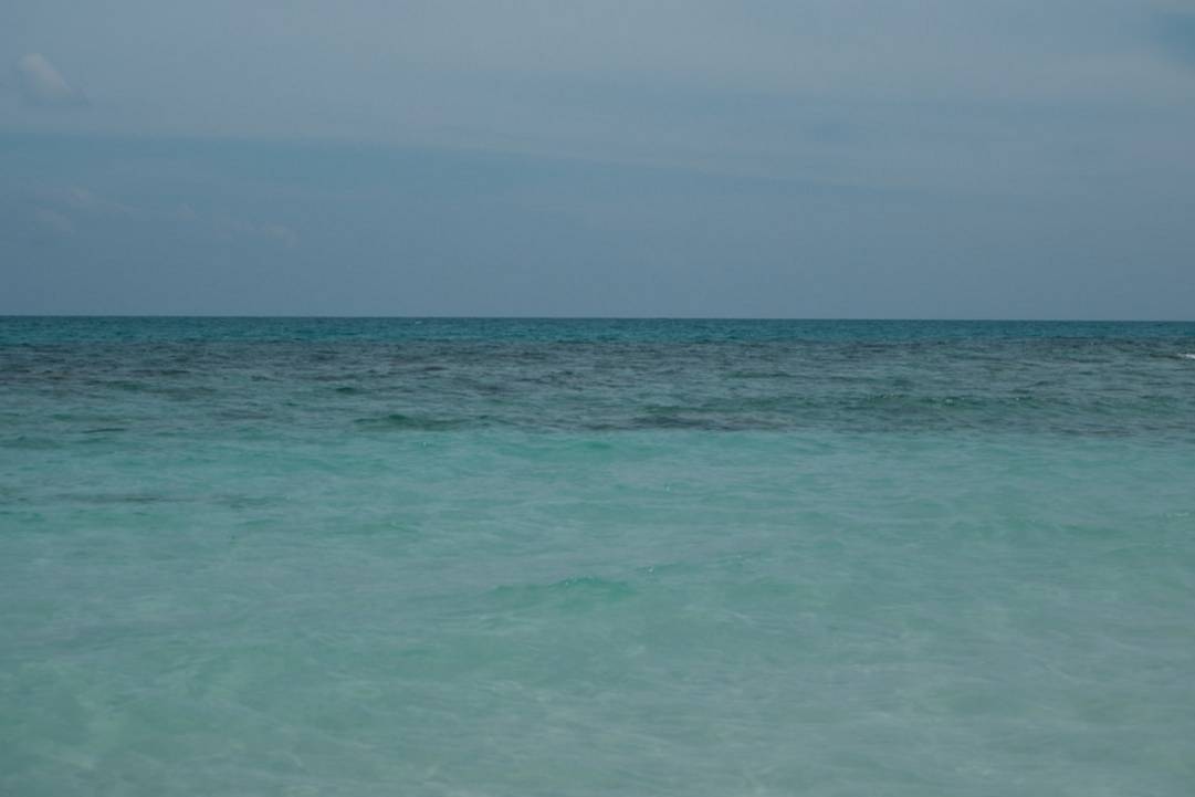 Kelingking Beach (Bahía T-Rex)kelingking-beachNusa Penida highlights