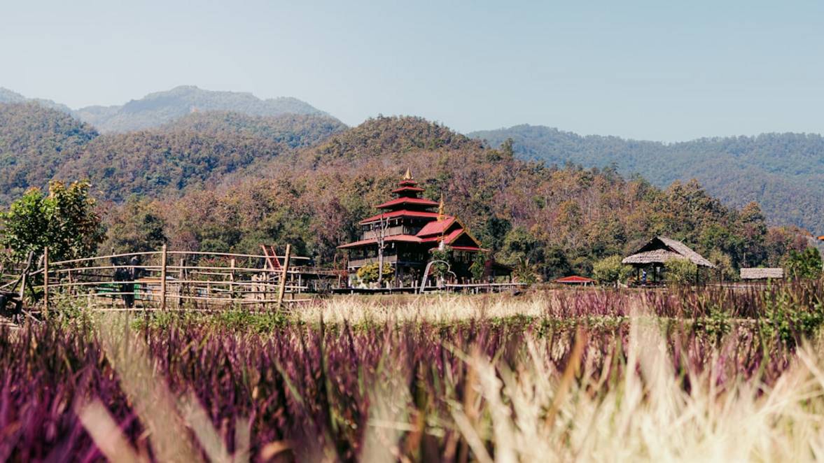 Wat Phouwat-phou-ruinsChampasak overview