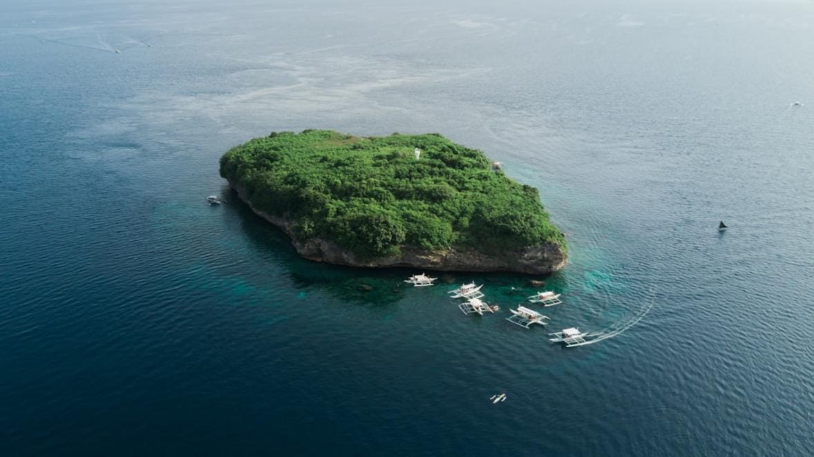 Flores surroundings