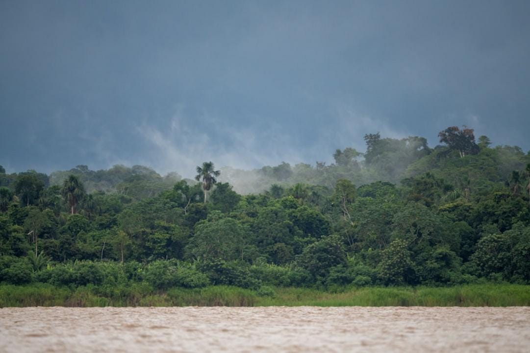 Iquitos experiences