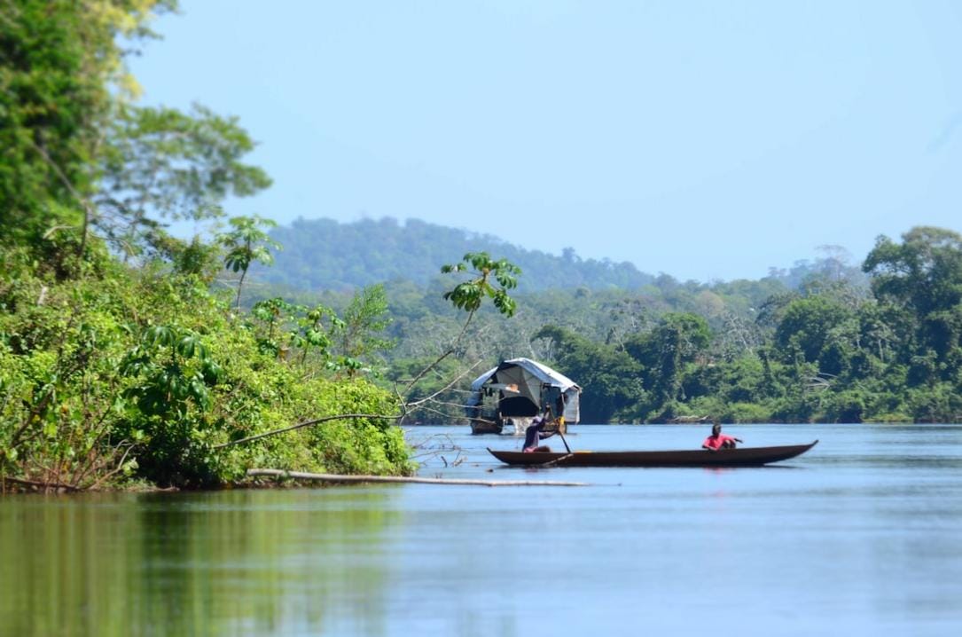 Top 5 cosas que hacer en Knini Paati, isla en río Suriname 4 Knini Paati food