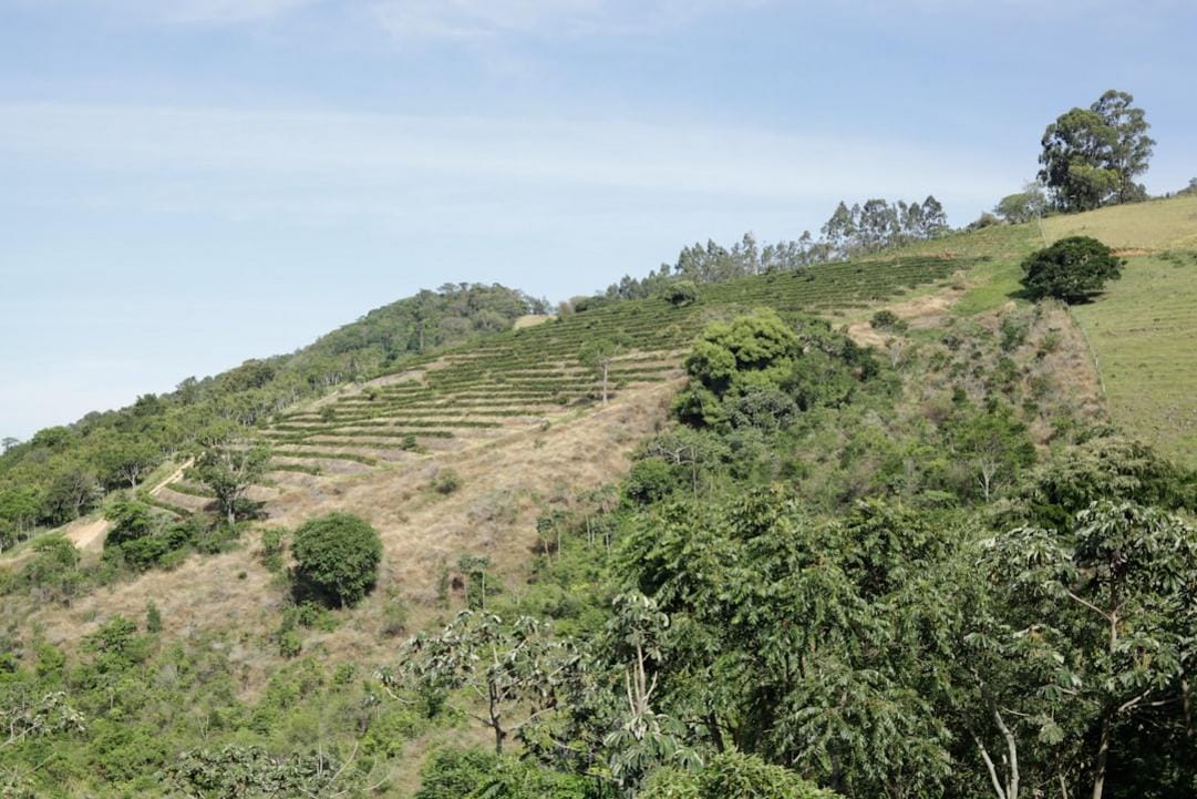 Top 5 cosas que hacer en Las Terrazas, eco-village en Sierra del Rosario 5 Las Terrazas food