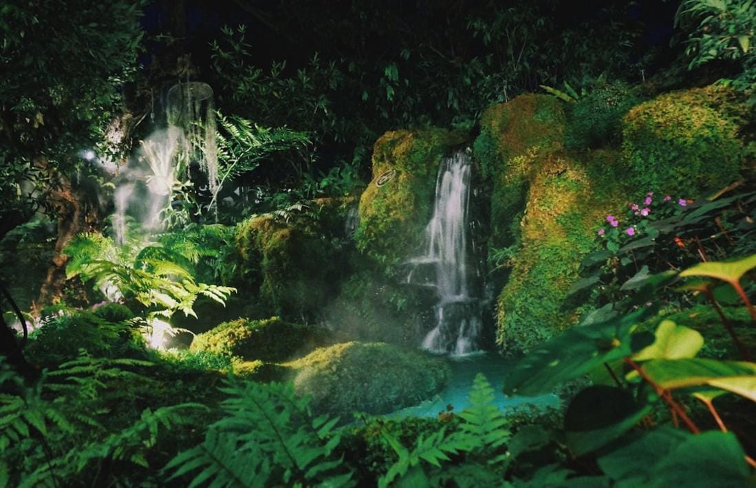 Malaysia national parks