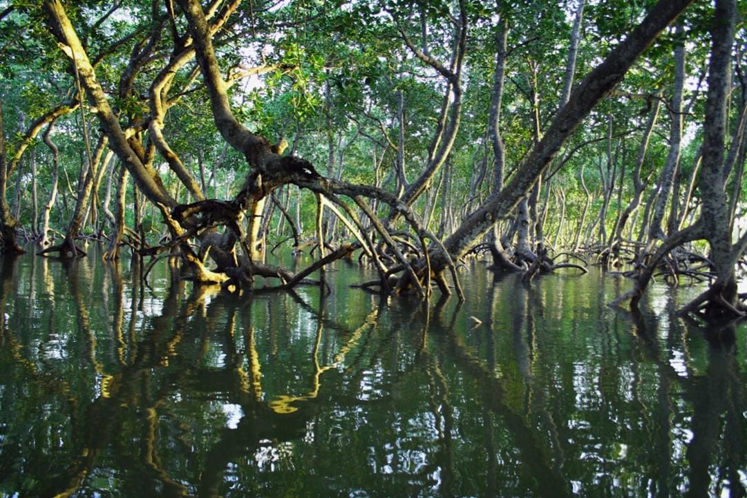 Malaysia national parks