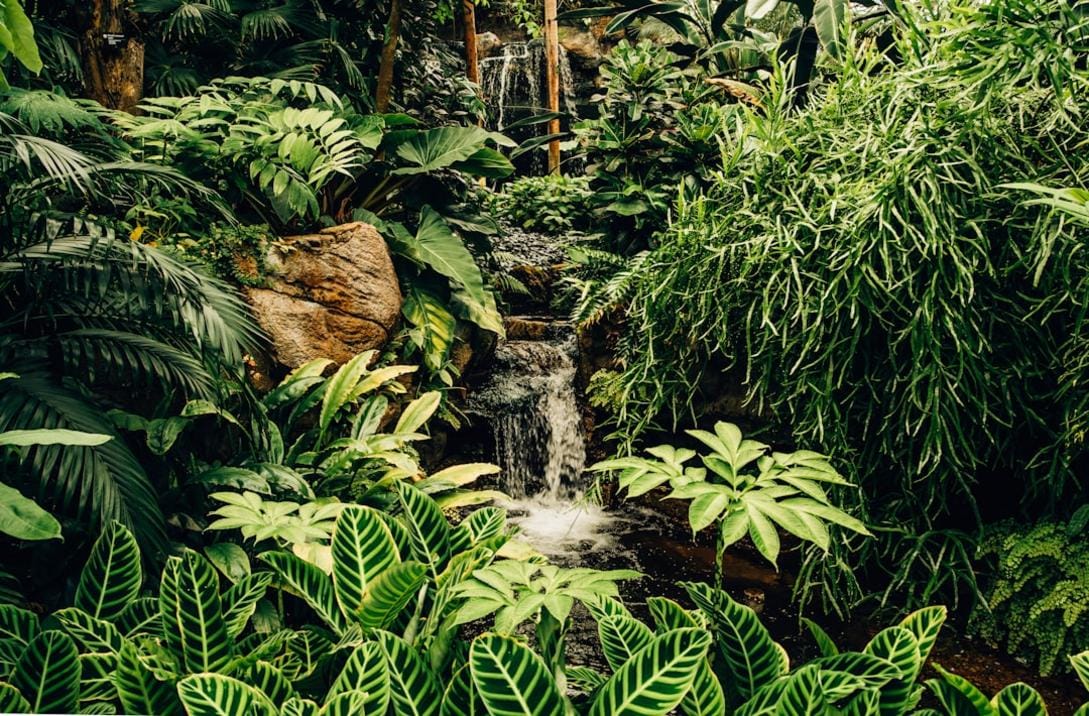 Malaysia national parks