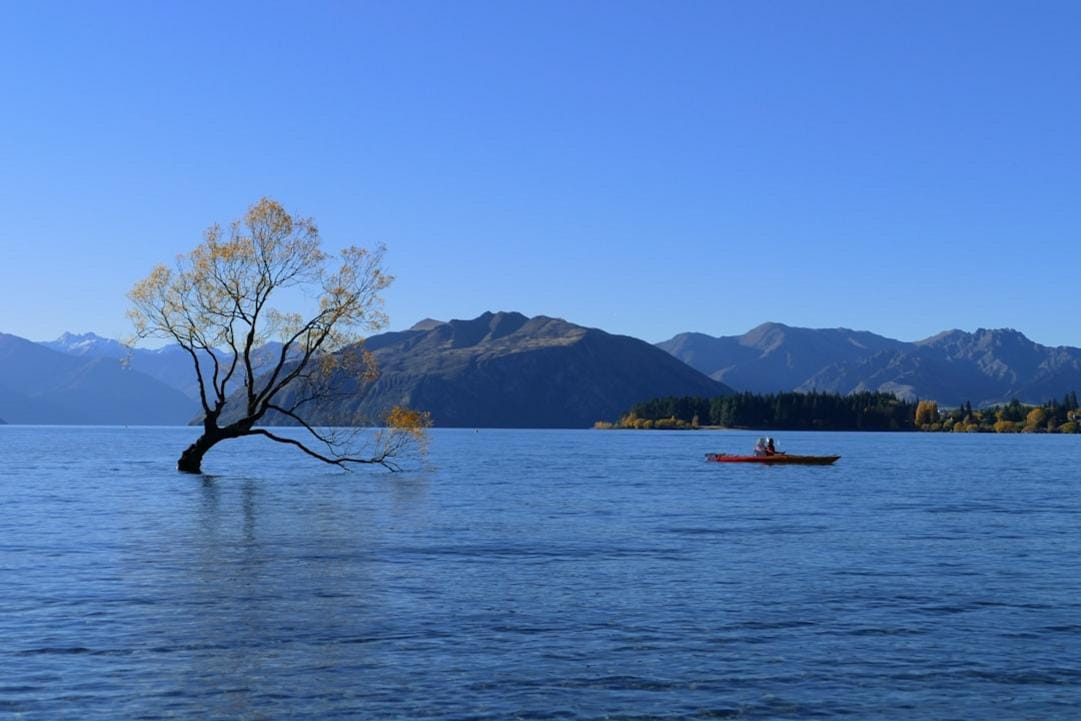 Queenstown food scene