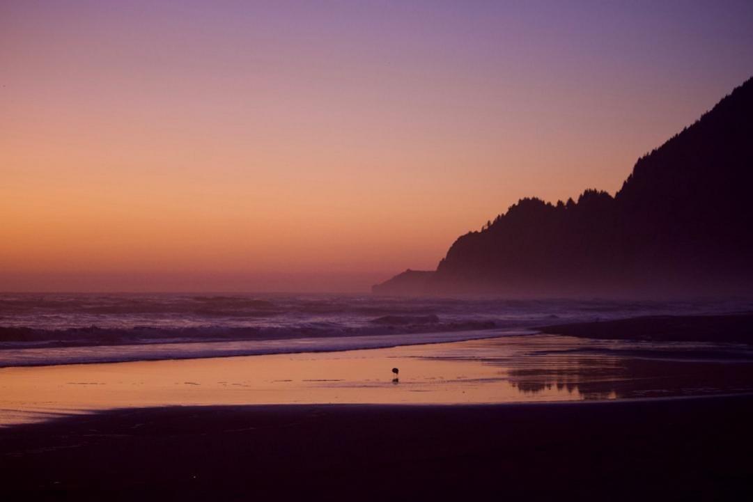 8 Things to do in Viña del Mar - Playa y Reloj de Flores 8 Viña del Mar accommodation