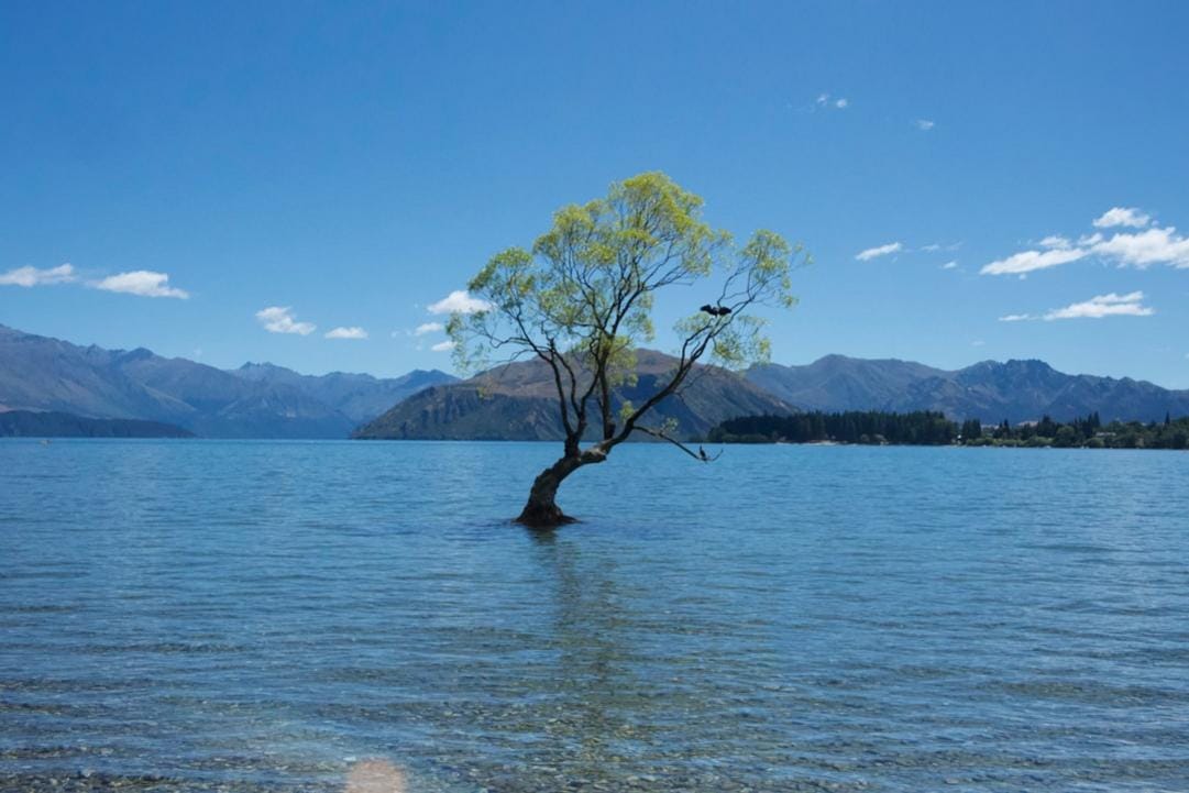 Wanaka day plan