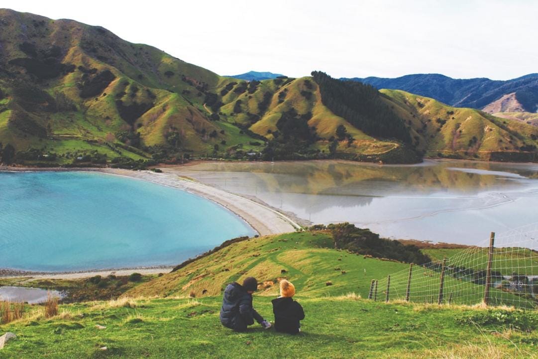 Wanaka food