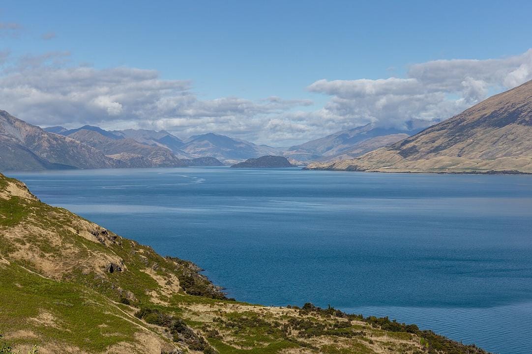 El aroma a pino fresco y el crujir de hojas secas te reciben en el sendero de Roys Peak, con vistas al lago Wanaka.