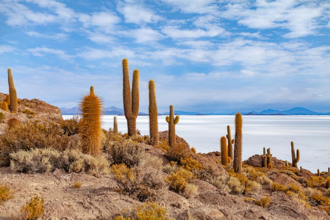 Bolivia — June