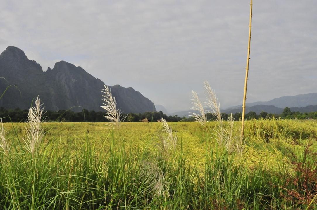 Laos — April