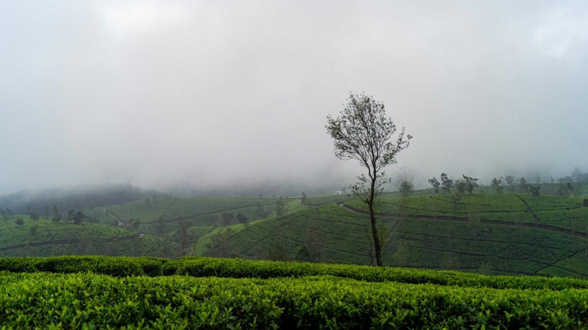 Sri Lanka — regional variation