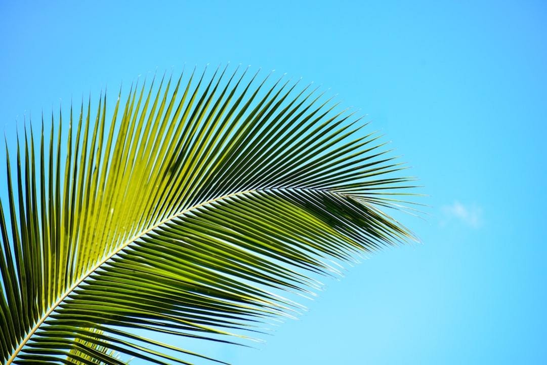 Sri Lanka — October