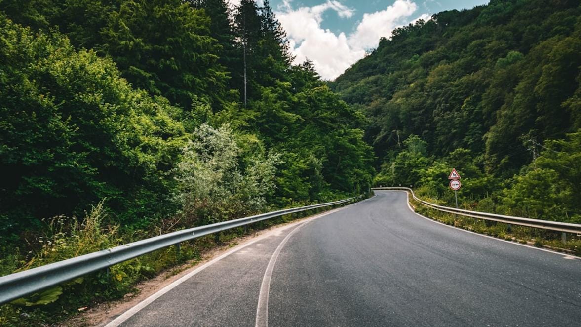 Conducción en Estonia: Reglas, Seguridad y Consejos 1 Estonia carretera