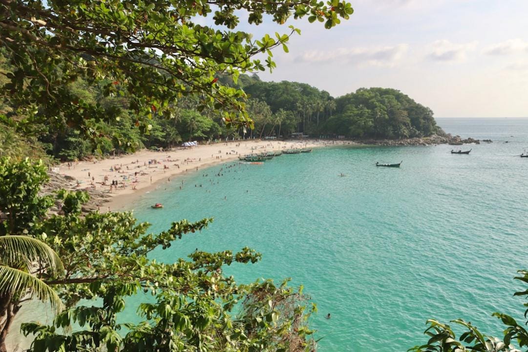 Palau 2026: Playas de arena blanca y arrecifes en un paraíso submarino 10 Palau playa