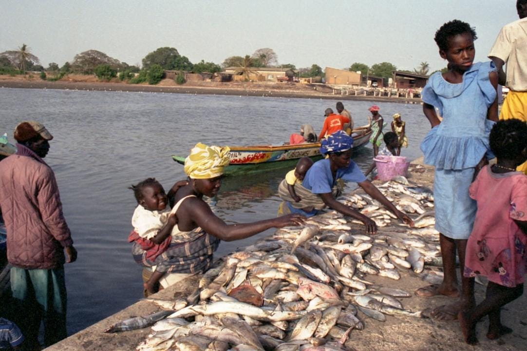 Top 5 cosas que hacer en Eldoret, la ciudad en las tierras altas de Kenia y base para corredores de élite 3 Eldoret day plan
