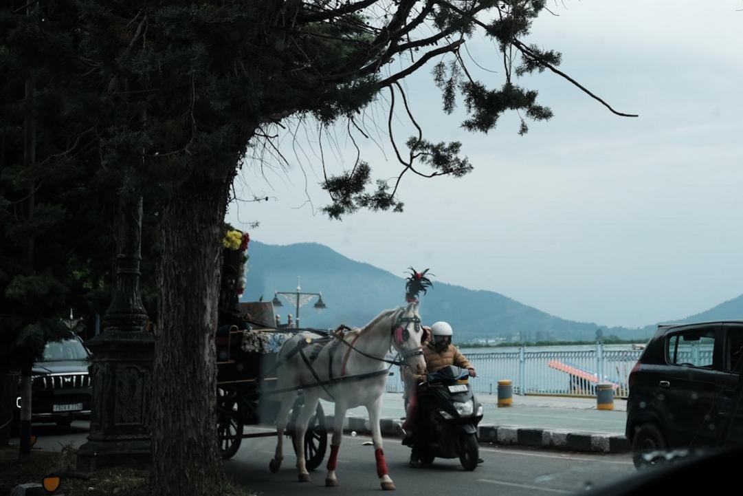 Palau street scene